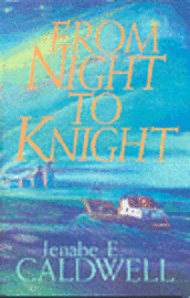 bokomslag From Night To Knight