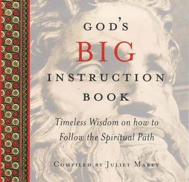 bokomslag God's Big Instruction Book