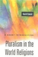 bokomslag Pluralism in the World Religions