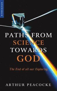 bokomslag Paths from Science Towards God