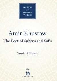 bokomslag Amir Khusraw