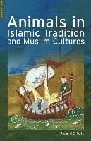 bokomslag Animals in Islamic Tradition and Muslim Cultures