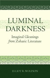 bokomslag Luminal Darkness