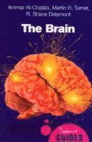 The Brain 1