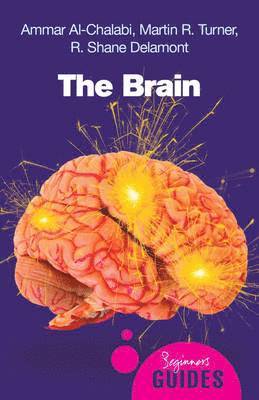 Ammar al-Chalabi, Martin Turner, R. Shane Delamont, Ammar Al-Chalabi - Brain, Häftad