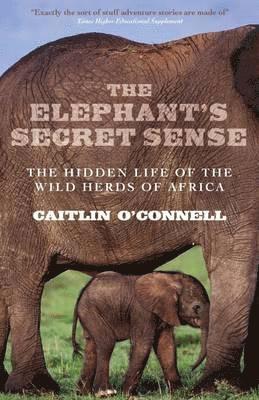 The Elephant's Secret Sense 1