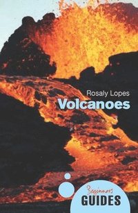 bokomslag Volcanoes
