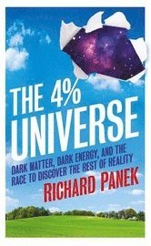 bokomslag The 4-Percent Universe