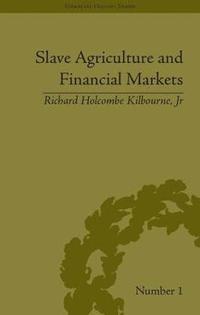 bokomslag Slave Agriculture and Financial Markets in Antebellum America