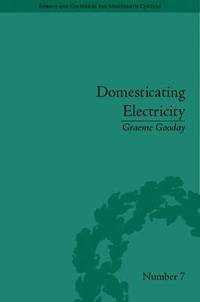 bokomslag Domesticating Electricity