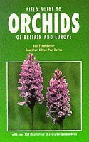 bokomslag Field Guide to Orchids of Britain