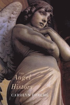 The Angel of History 1