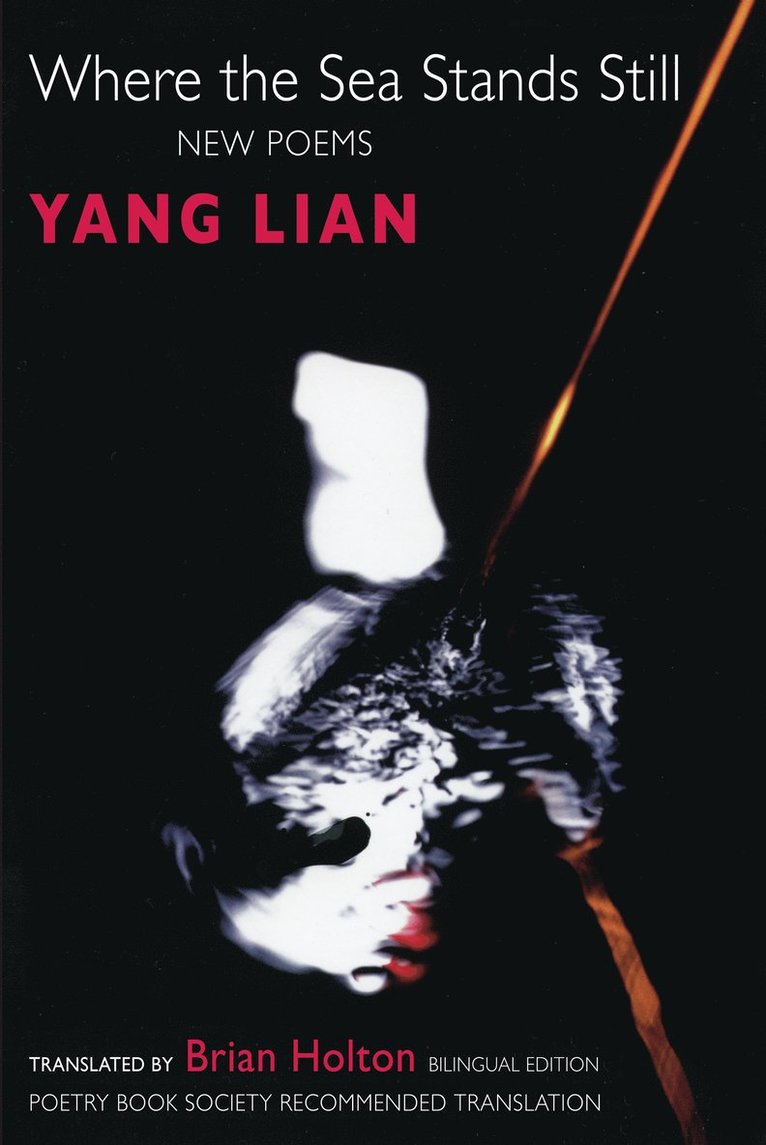 Yang Lian - Where the Sea Stands Still, Häftad