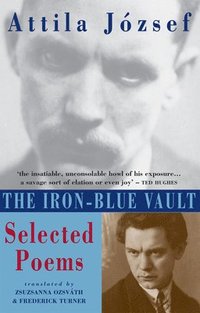 bokomslag The Iron-Blue Vault