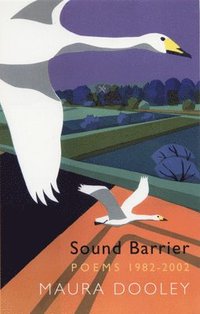bokomslag Sound Barrier