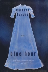 bokomslag Blue Hour