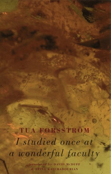 Tua Forsström - I Studied Once at a Wonderful Faculty, Häftad