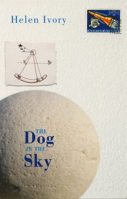 bokomslag Dog in the Sky