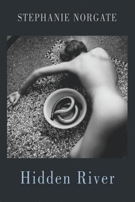 Stephanie Norgate - Hidden River, Häftad