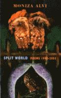 Split World 1