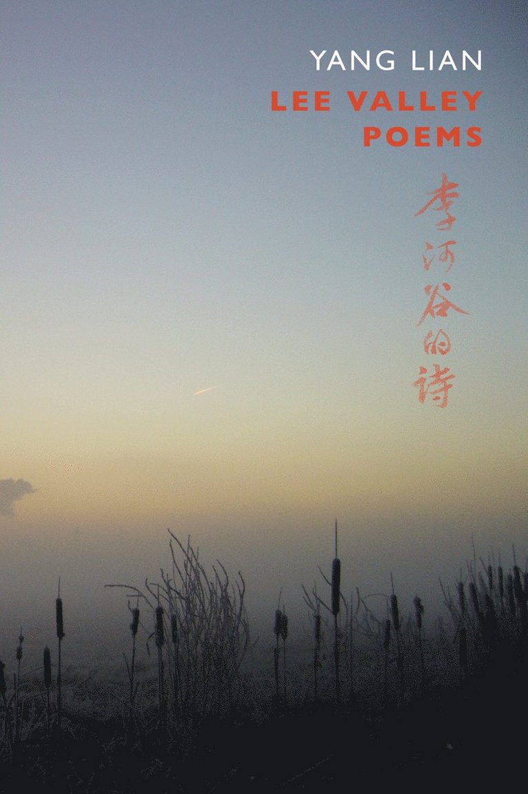 Yang Lian - Lee Valley Poems, Häftad