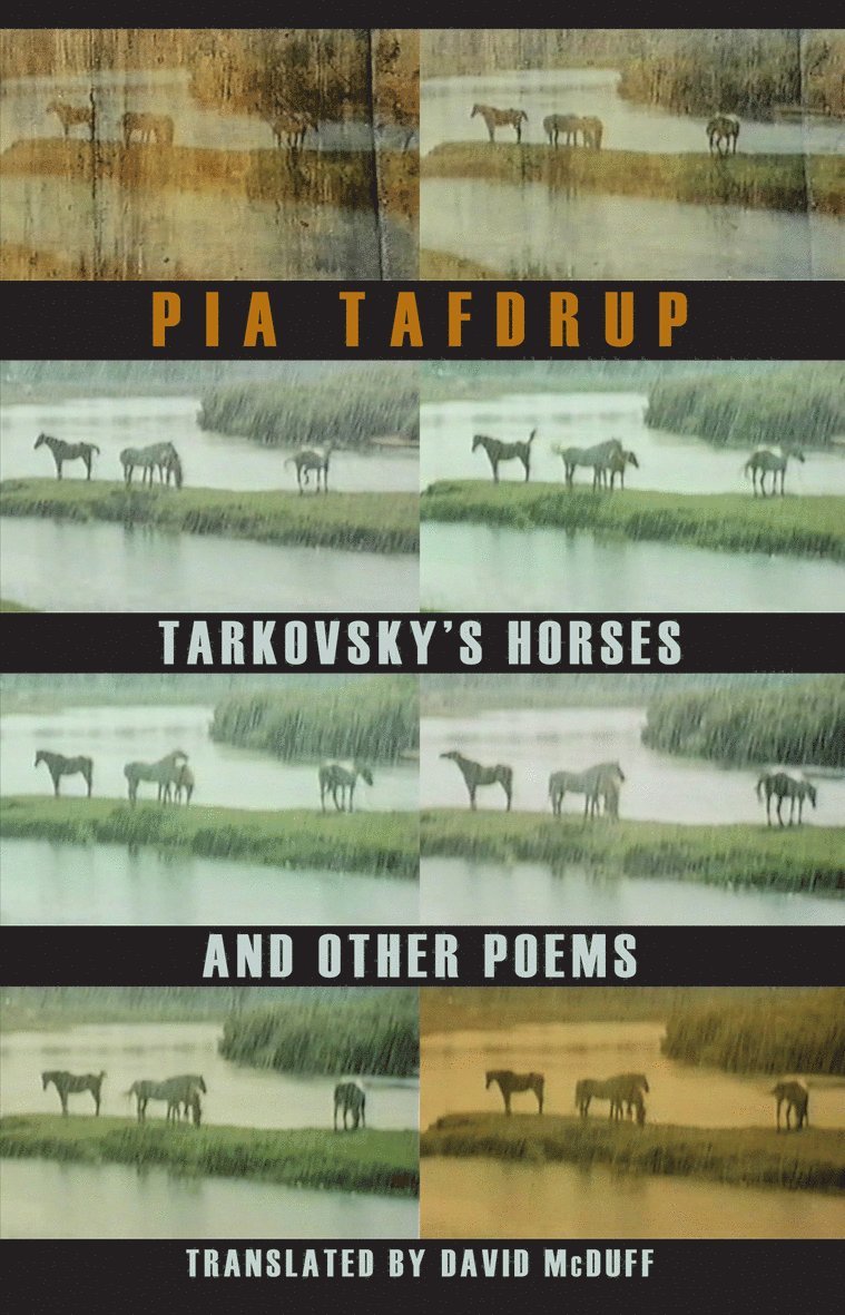 Tarkovsky's Horses and other poems 1