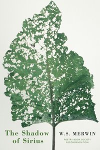 bokomslag Shadow of Sirius