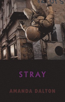 Stray 1