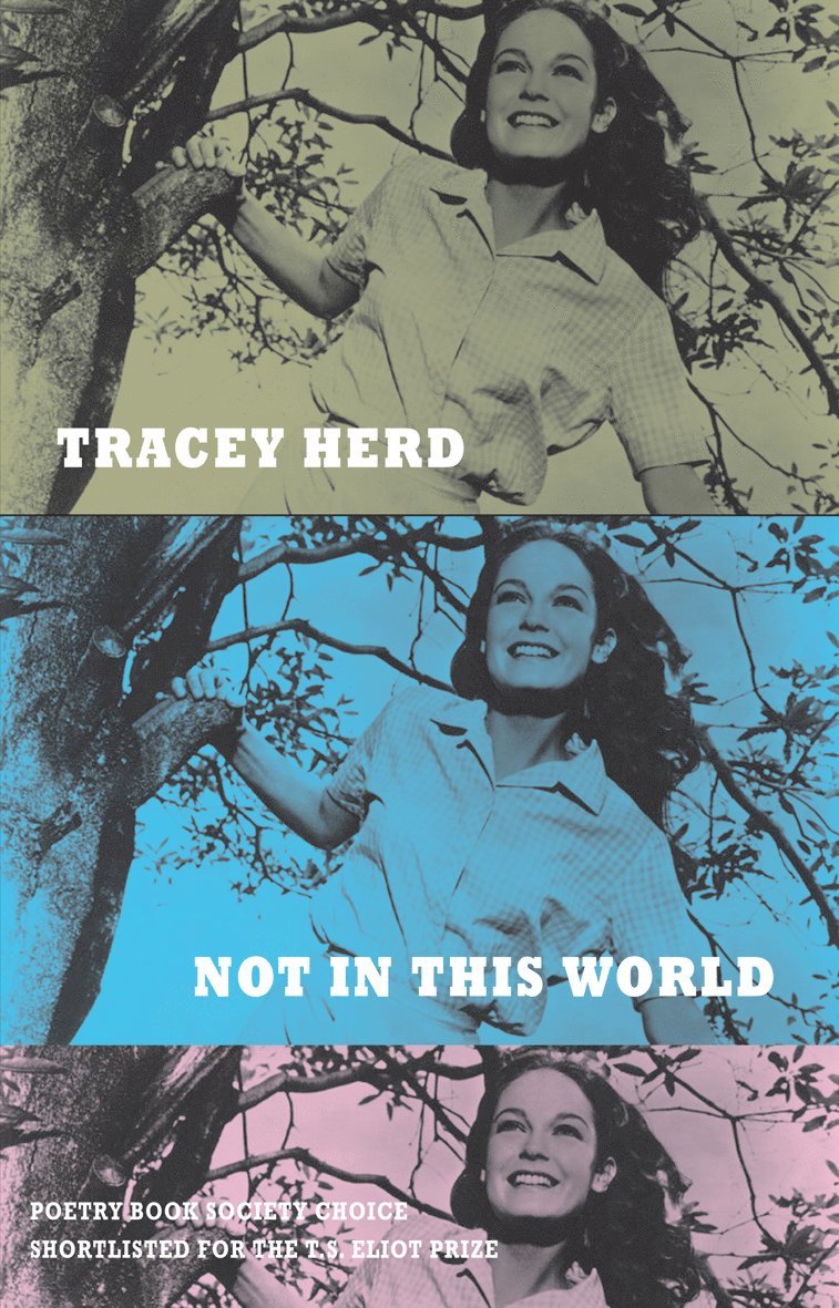 Tracey Herd - Not in This World, Häftad