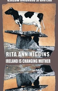 bokomslag Ireland Is Changing Mother