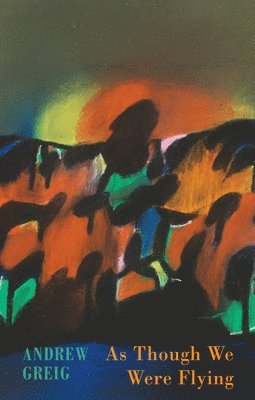 As Though We Were Flying