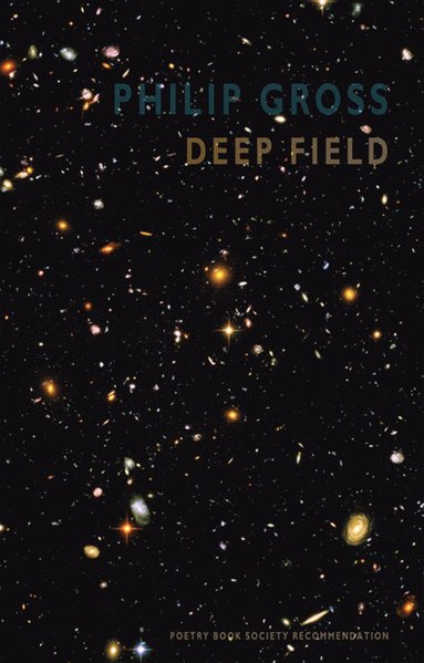 bokomslag Deep Field