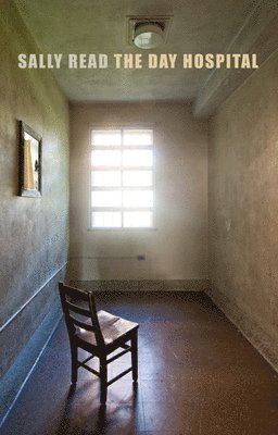 bokomslag Day Hospital