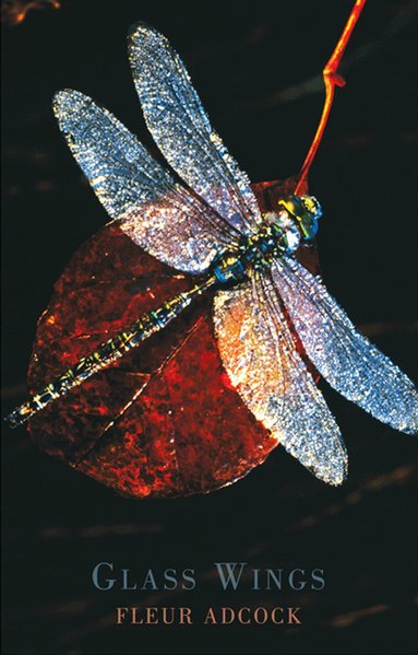 Fleur Adcock - Glass Wings, Häftad