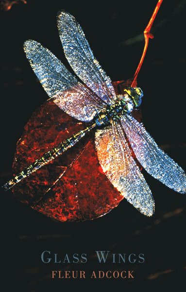 bokomslag Glass Wings
