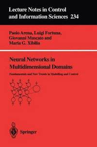 bokomslag Neural Networks in Multidimensional Domains