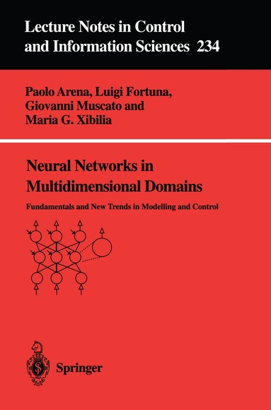 Paolo Arena, Luigi Fortuna, Giovanni Muscato, Maria Gabriella Xibilia - Neural Networks in Multidimensional Domains, Häftad