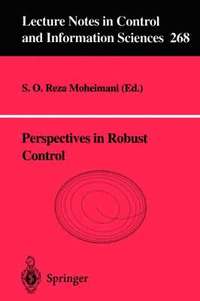 bokomslag Perspectives in Robust Control
