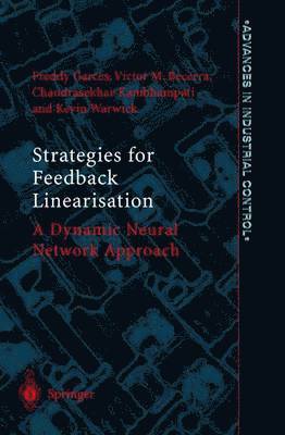 bokomslag Strategies for Feedback Linearisation