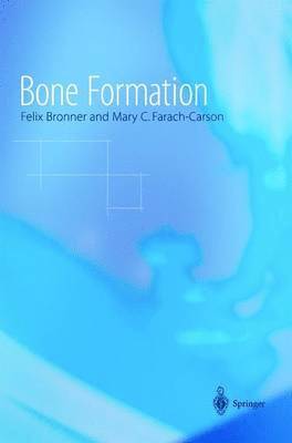 Bone Formation 1