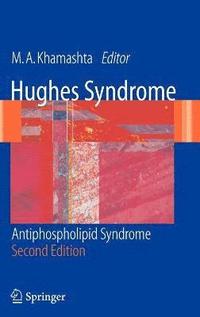 bokomslag Hughes Syndrome