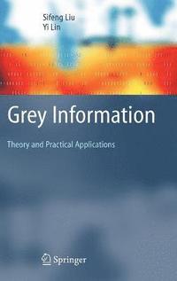 bokomslag Grey Information
