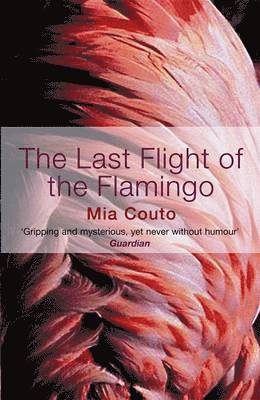 bokomslag The Last Flight of the Flamingo