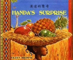 bokomslag Handa's Surprise in Chinese and English