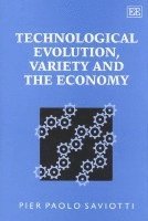 bokomslag Technological Evolution, Variety and the Economy