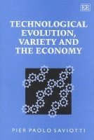 Technological Evolution, Variety and the Economy 1