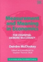 bokomslag Measurement and Meaning in Economics