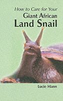 How to Care for Your Giant African Land Snail