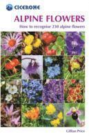 Gillian Price - Alpine Flowers, Häftad