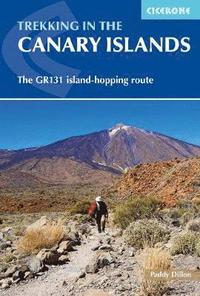 bokomslag Trekking in the Canary Islands